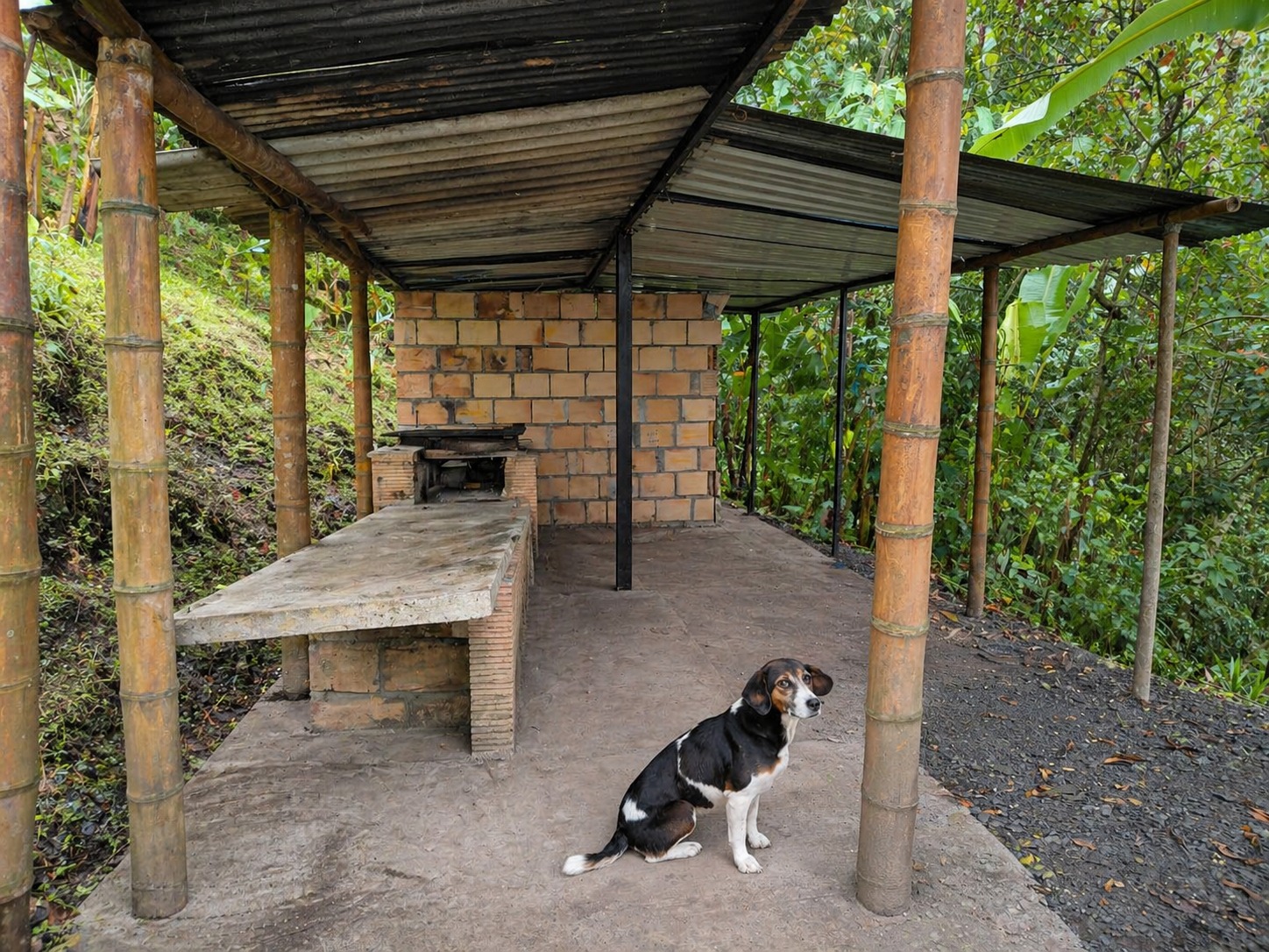 26-14 FINCA EN VENTA MESITAS DEL COLEGIO